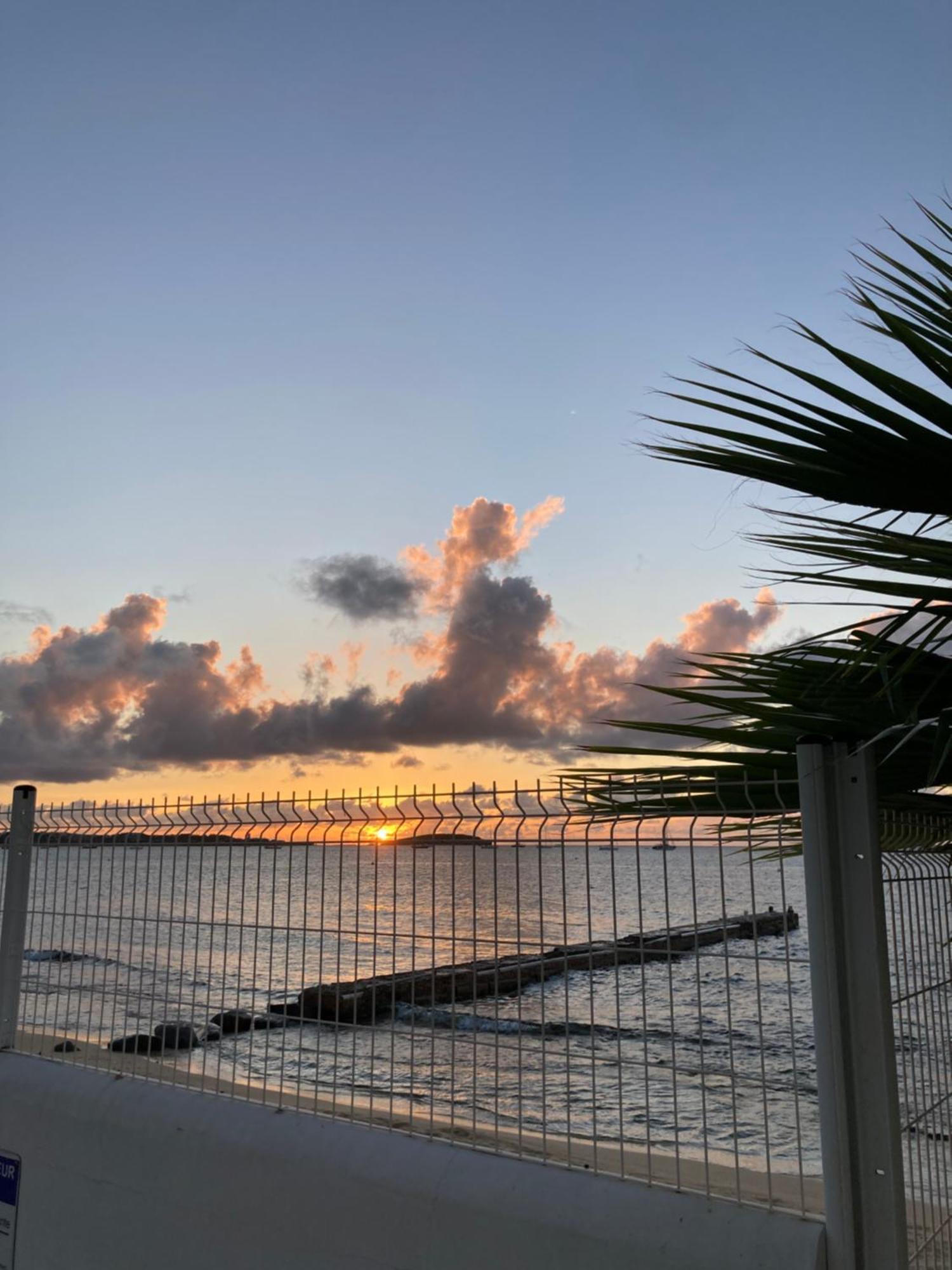 Appartement PIEDS DANS L'EAU VUE MER ACCES PLAGE ET PISCINE Marigot  Extérieur photo