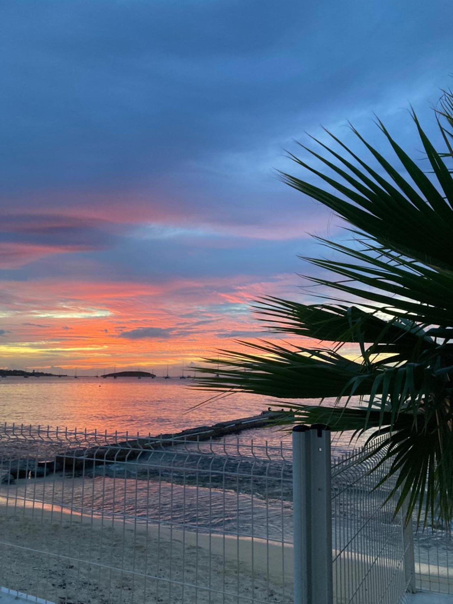 Appartement PIEDS DANS L'EAU VUE MER ACCES PLAGE ET PISCINE Marigot  Extérieur photo